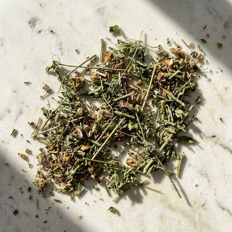 PASSIFLORE plante coupée bio ( Origine France )