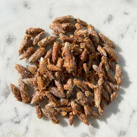 PIN bourgeons bio ( Origine France )