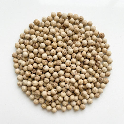 Poivre Rond Grossiste POIVRE BLANC grains bio Fournisseur Vrac en Gros – HerboDirect