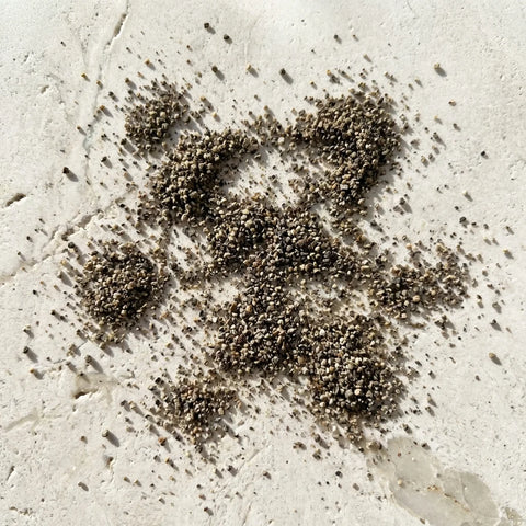 POIVRE NOIR poudre bio