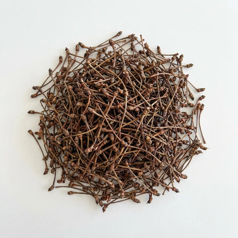 QUEUES DE CERISE  ENTIÈRES pédoncule fructifère rouge