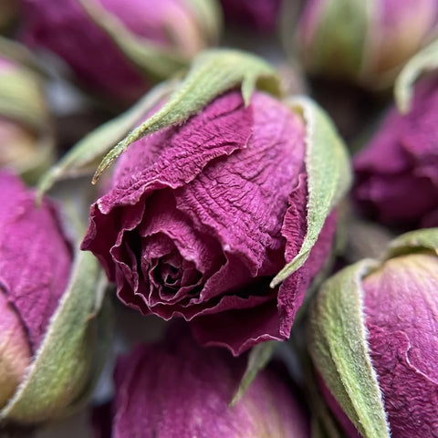 ROSE de DAMAS bouton BIO