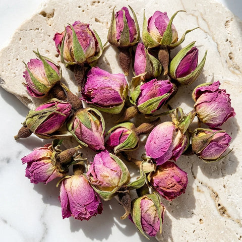 ROSE de DAMAS bouton BIO