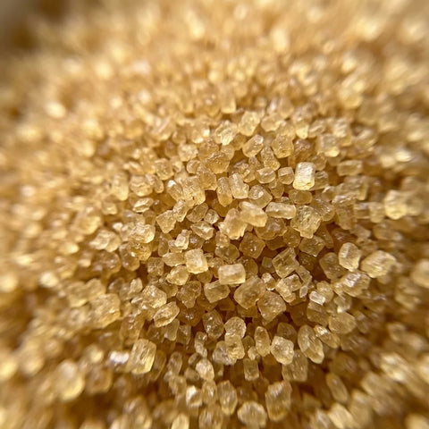 SUCRE golden fin bio