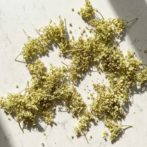 SUREAU fleurs bio ( Origine France )