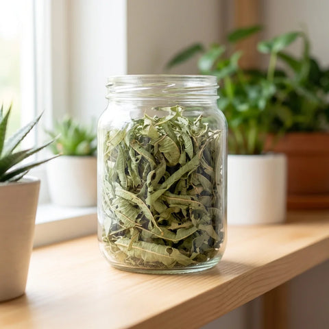 VERVEINE ODORANTE feuilles bio ( Origine France )