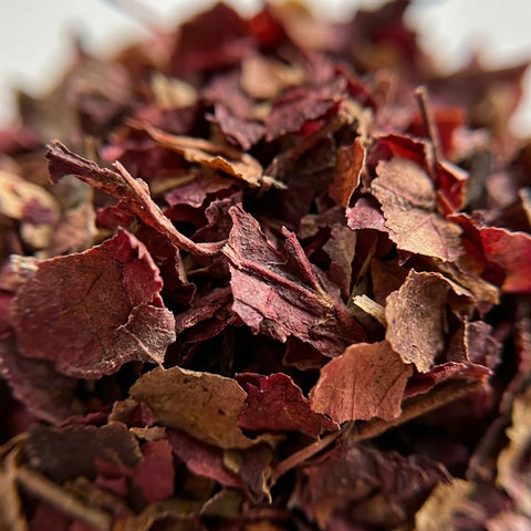VIGNE ROUGE feuilles bio ( Origine France )