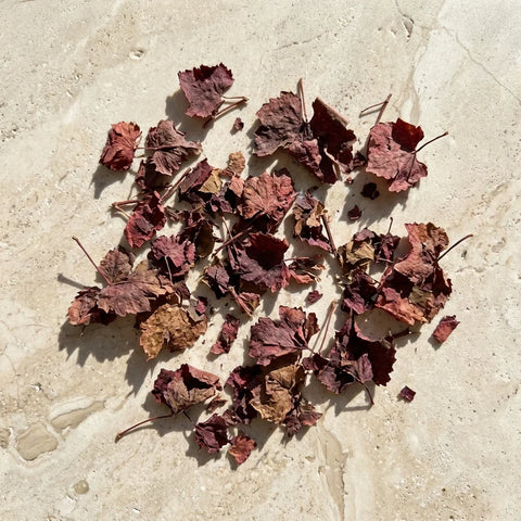 VIGNE ROUGE feuilles bio ( Origine France )