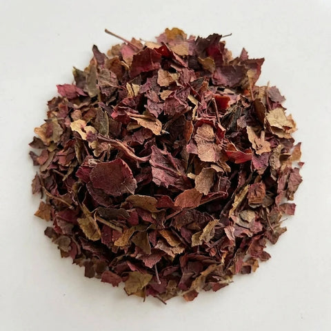 VIGNE ROUGE feuilles bio ( Origine France )