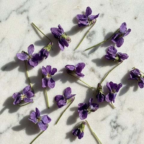 Violette douce fleurs Bio entière